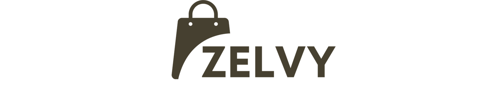 zelvy.store